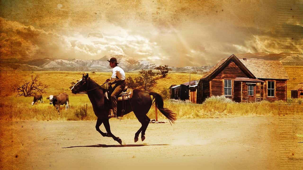 Кадр з фільму Обітниця любові (2004)