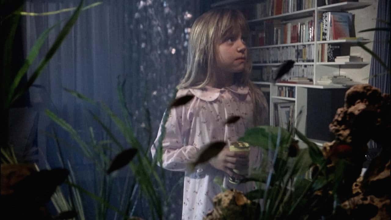 Кадр з фільму Сьомий континент (1989)