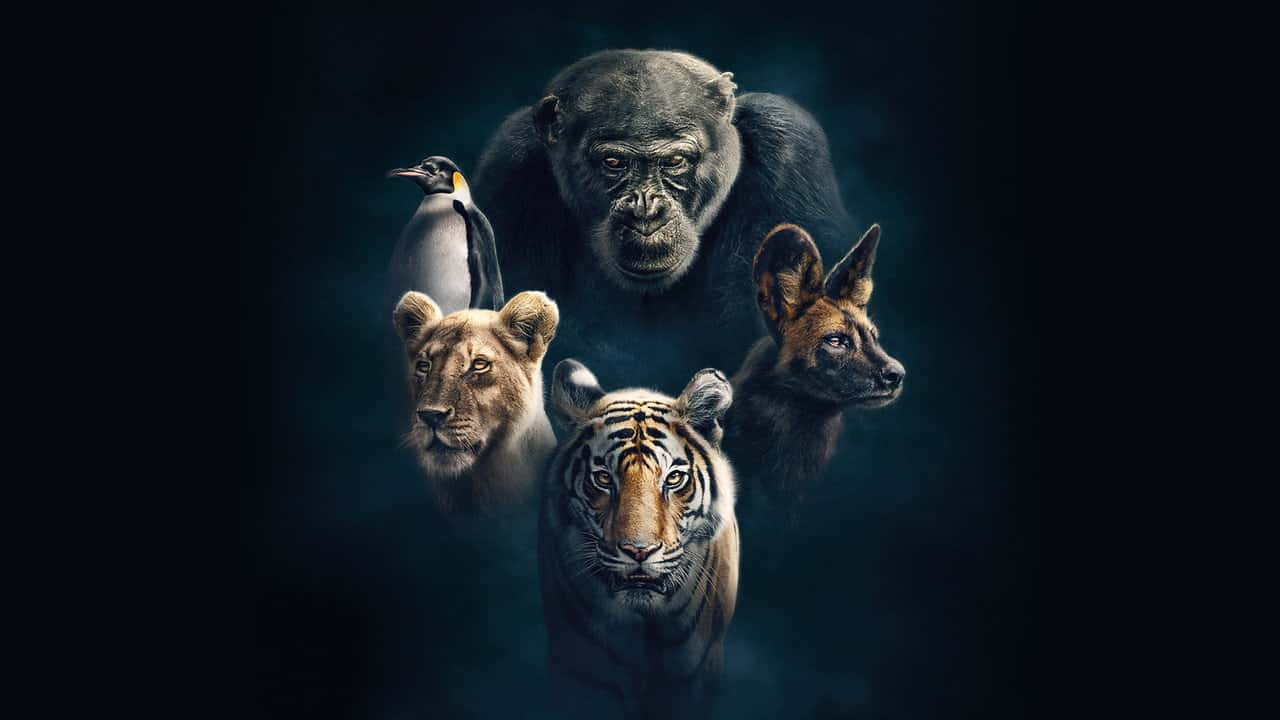 Кадр із серіалу Династії (2018)