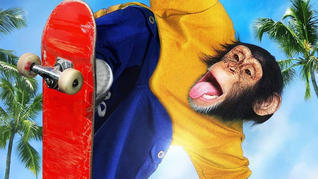 Кадр з фільму Король скейтборду. Найбільш вертикальний примат (2001)