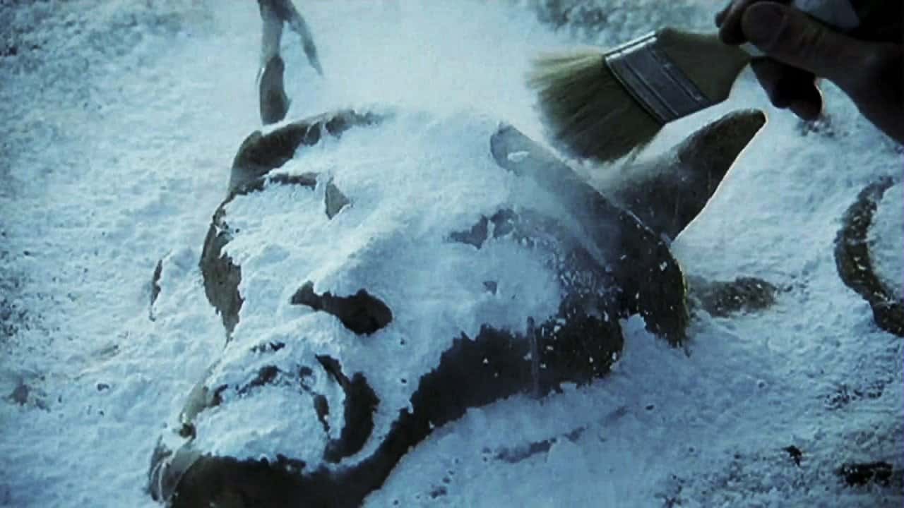 Кадр з фільму Баал - бог шторму (2008)