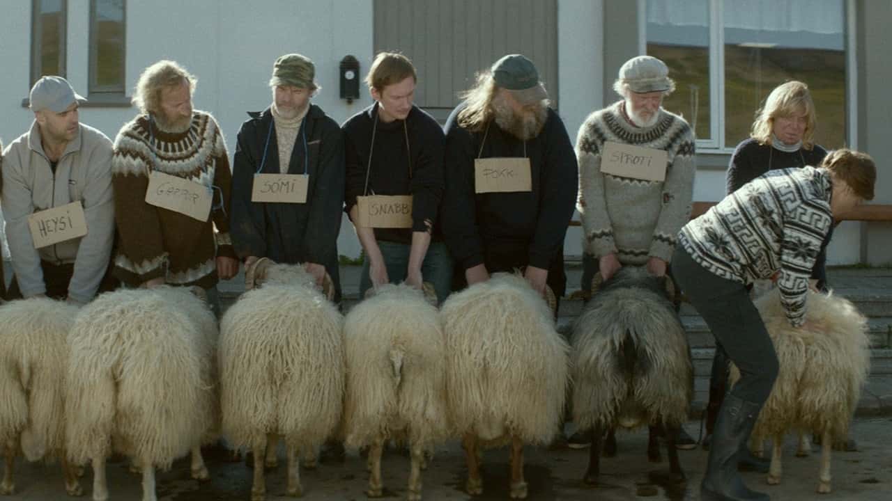 Кадр з фільму Барани (2015)