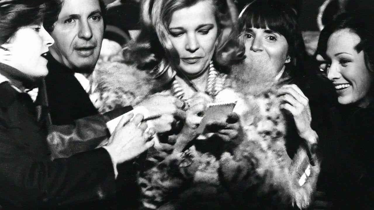 Кадр з фільму Прем'єра / Вернісаж (1977)