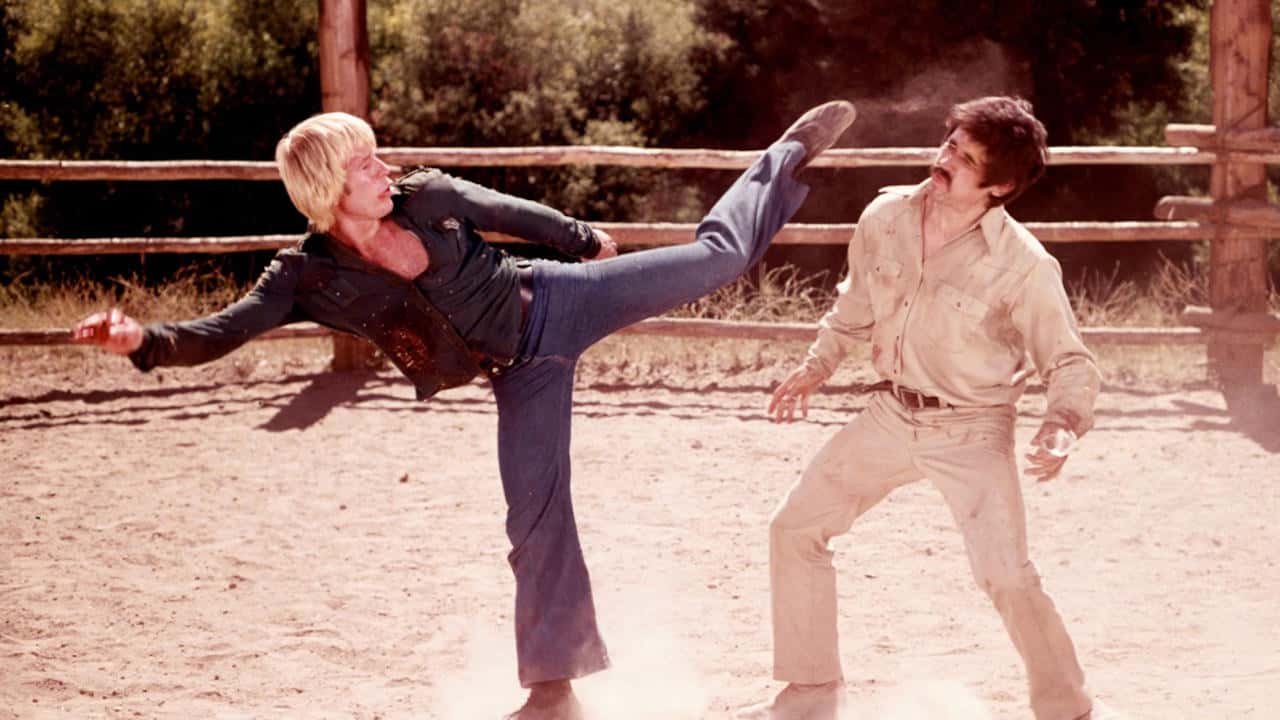 Кадр з фільму Зломщик! Зломщик! (1977)