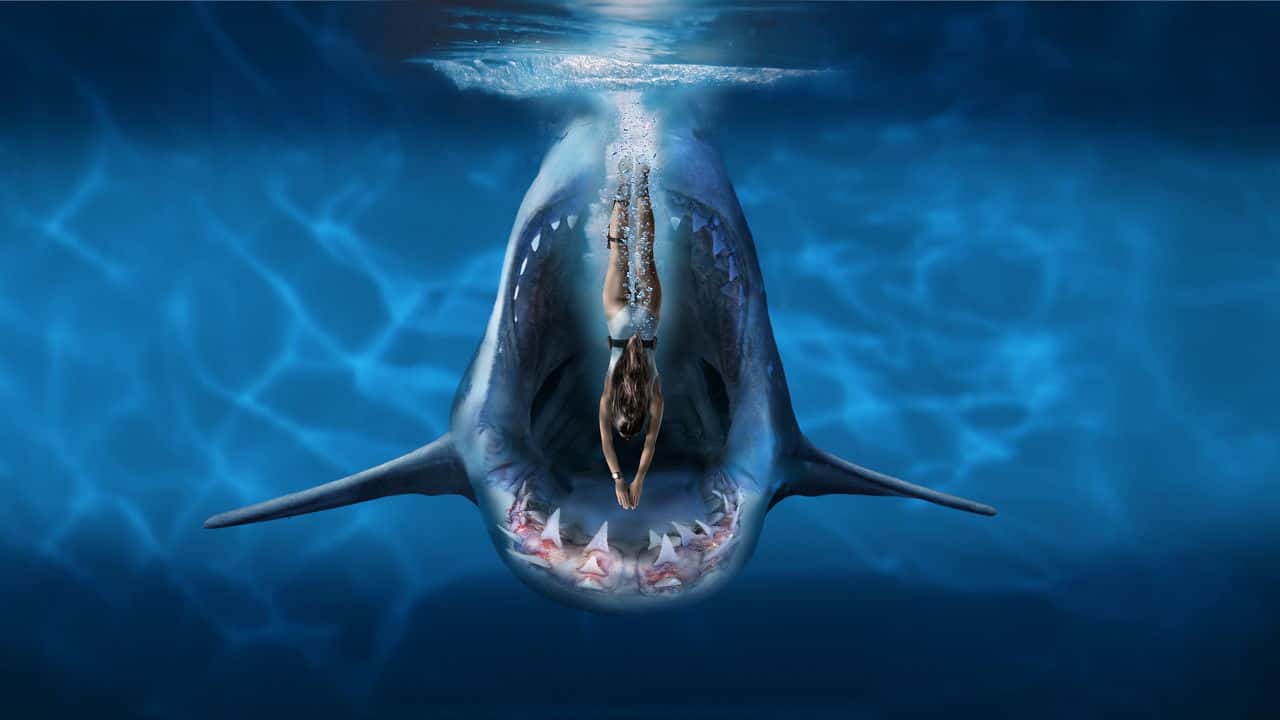 Кадр з фільму Глибоке синє море 3 (2020)