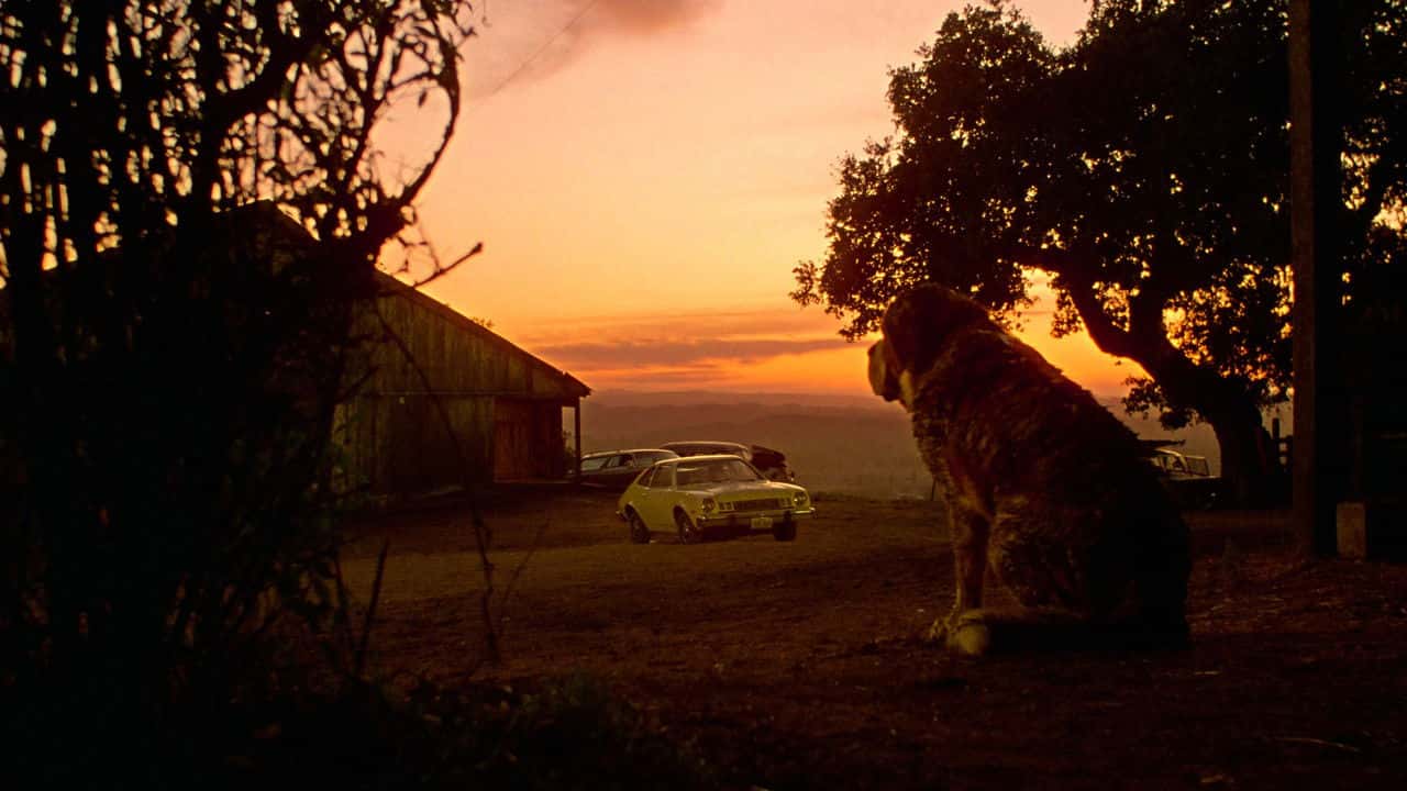 Кадр з фільму Куджо (1983)