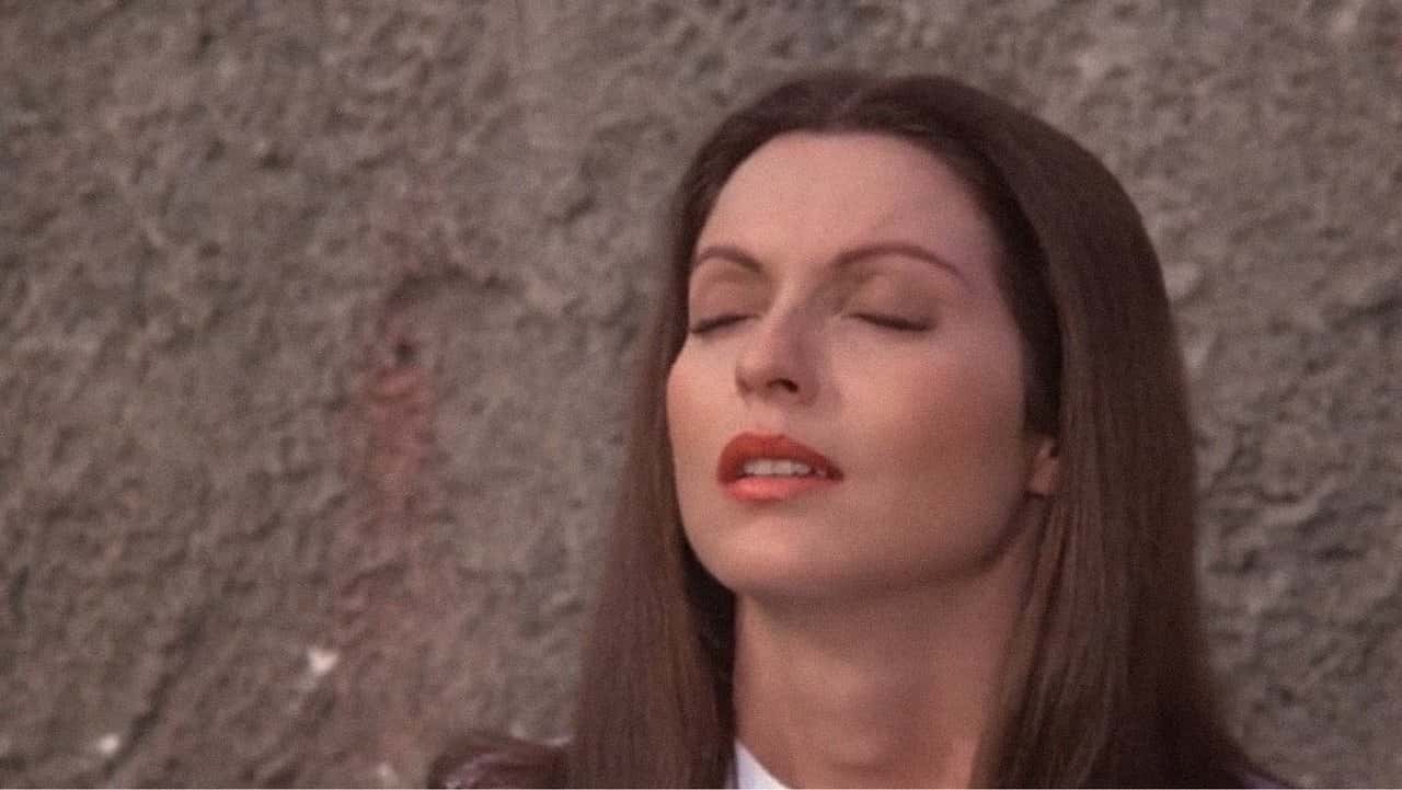 Кадр з фільму По той бік півночі (1977)