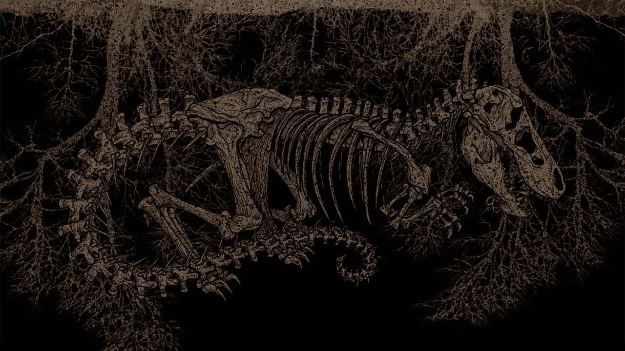 Кадр з фільму Тиранозавр (2011)