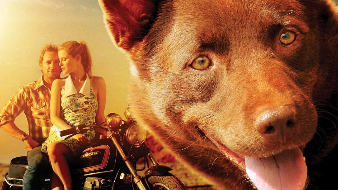 Кадр з фільму Рудий пес (2011)
