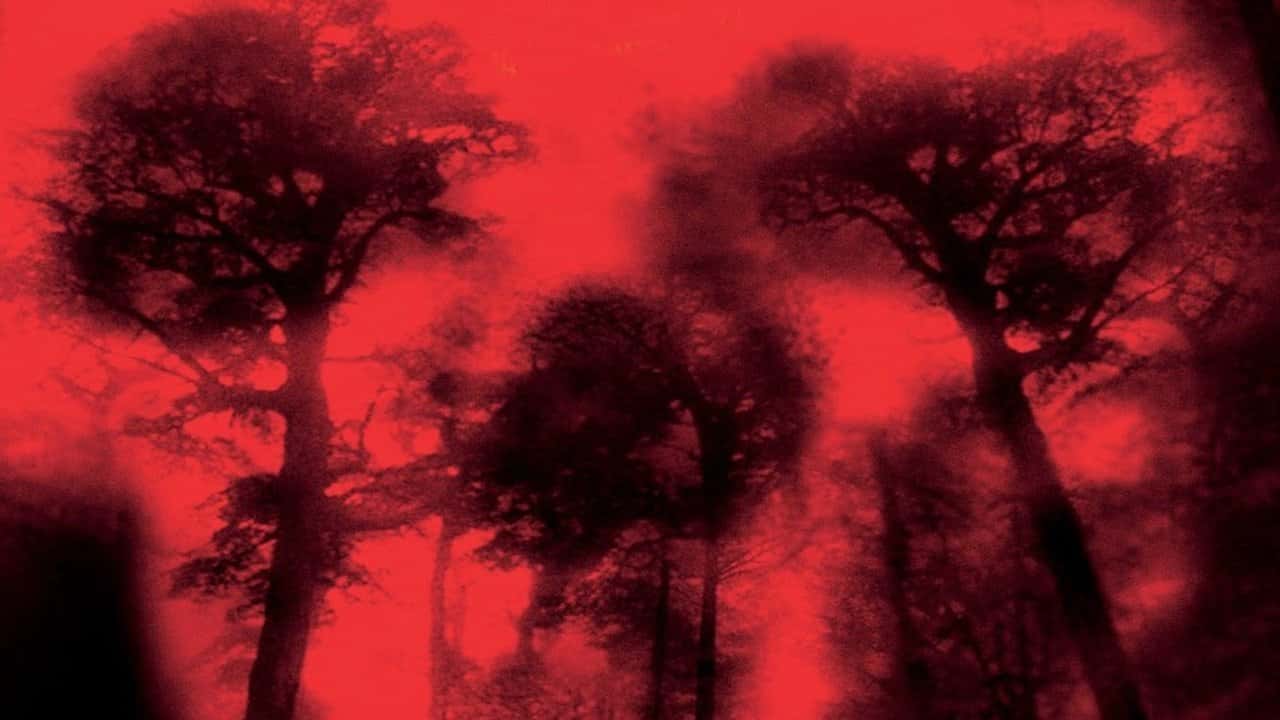 Кадр з фільму Лихоманка (2003)