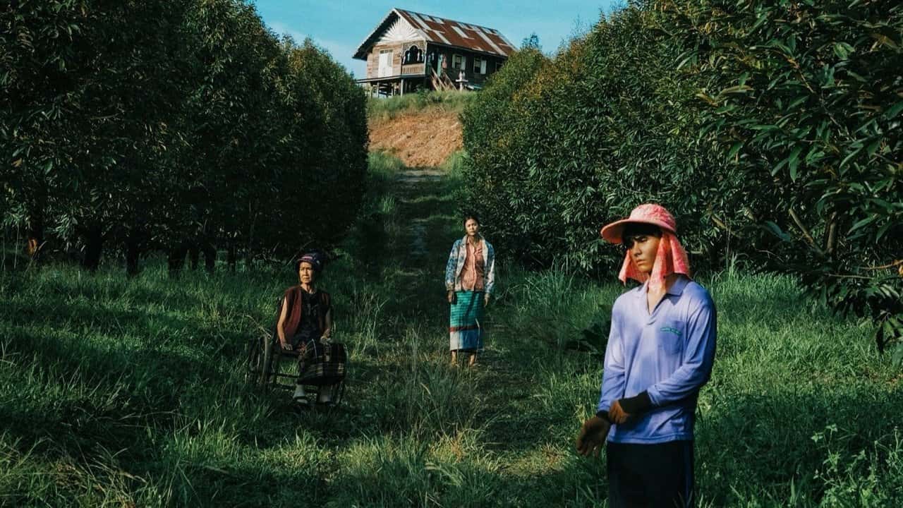 Кадр з фільму Рай із шипів (2024)