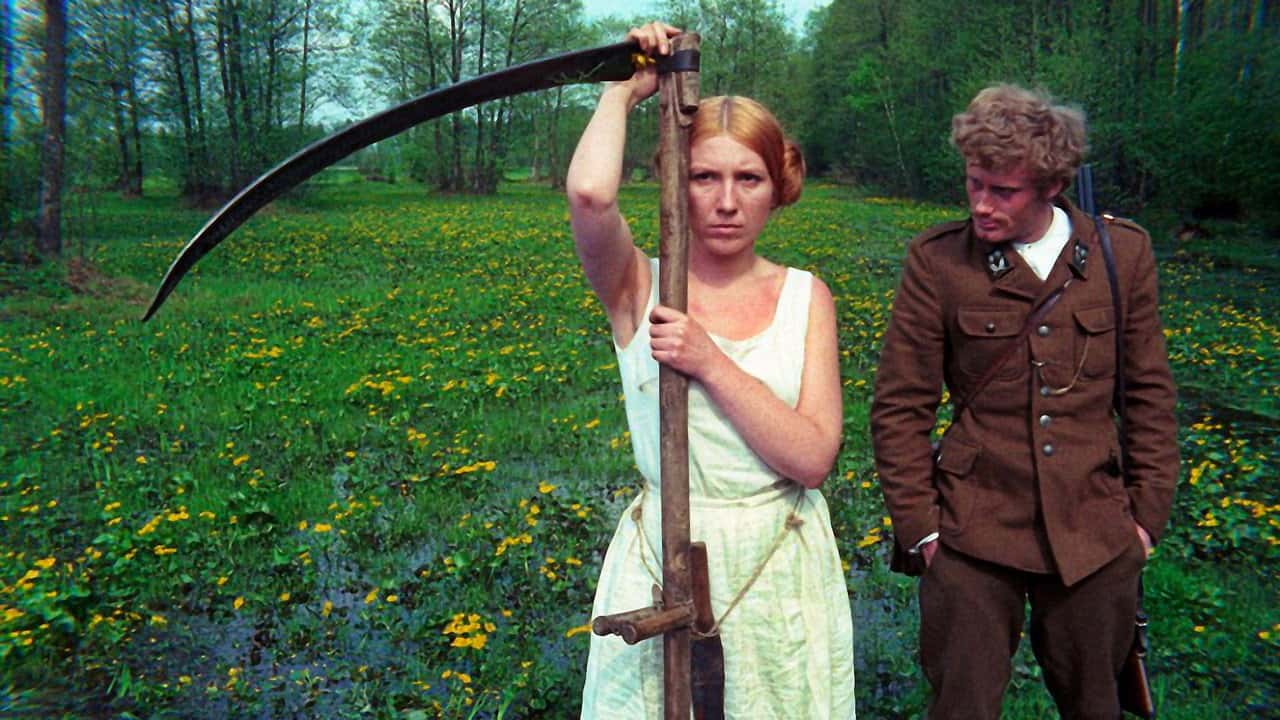 Кадр з фільму Березняк (1970)