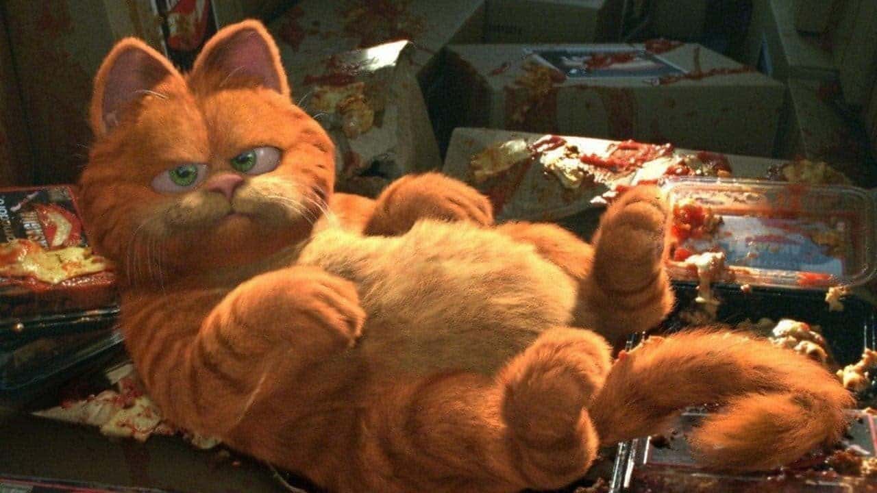 Кадр з фільму Гарфілд (2004)