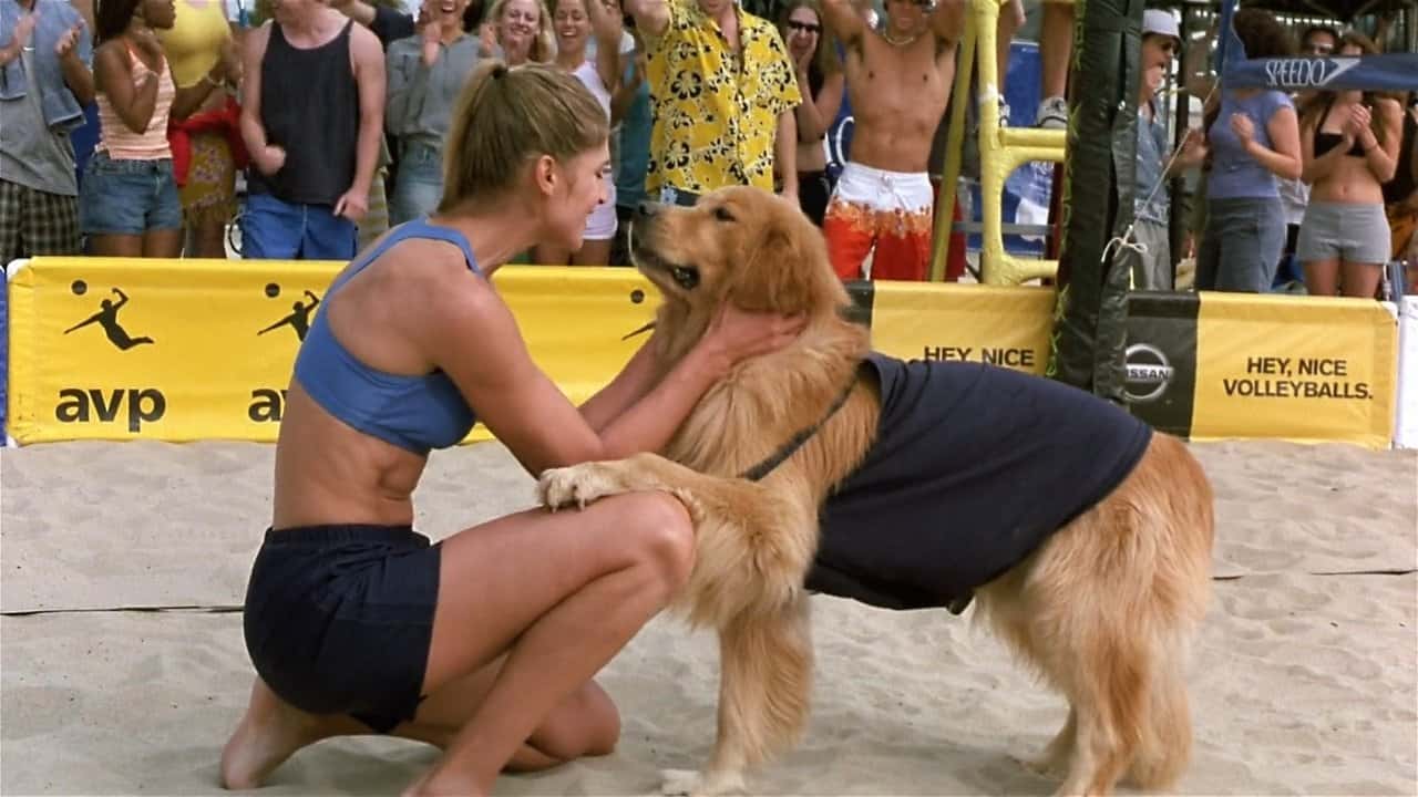 Кадр з фільму Король повітря. Повернення (2003)