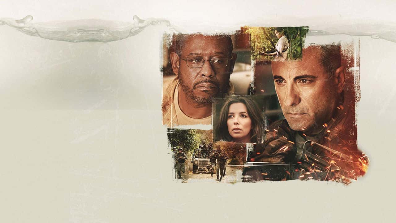Кадр з фільму Темна правда (2012)