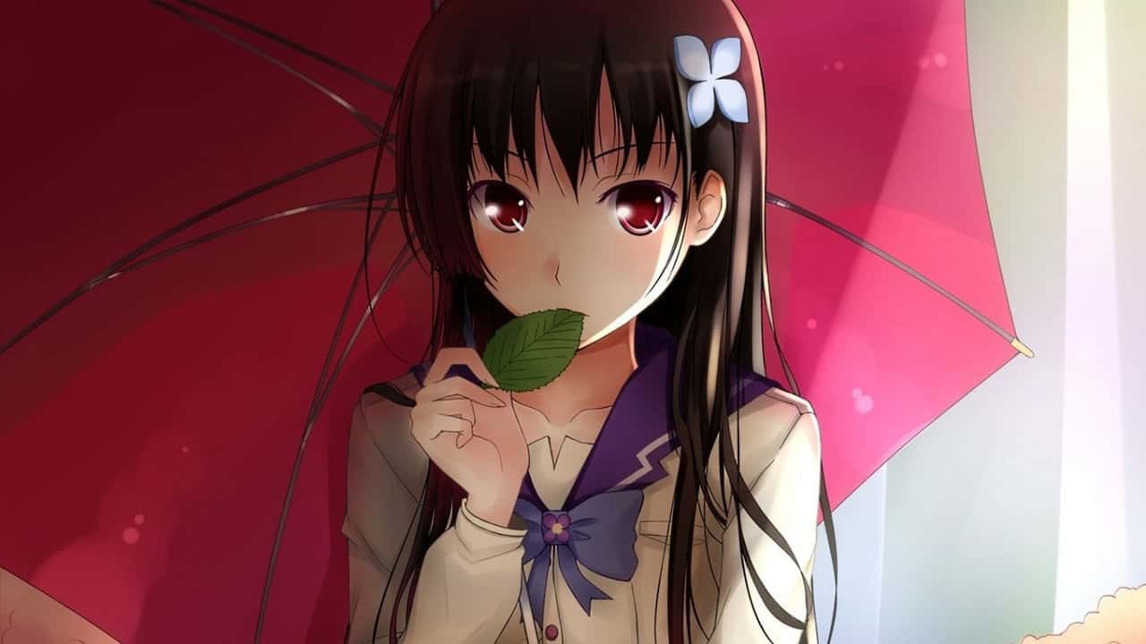 Кадр із серіалу Санкареа + OVA (2012)
