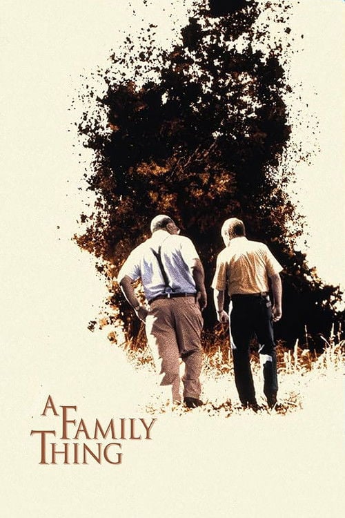 Постер Сімейна справа (1996)