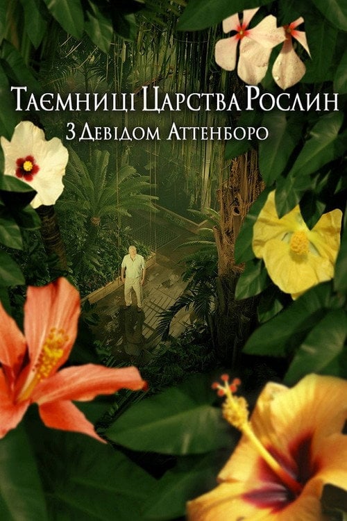 Постер Таємниці царства рослин (2012)
