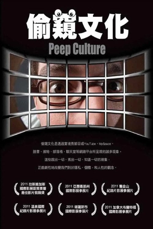 Постер Культура підглядання (2011)