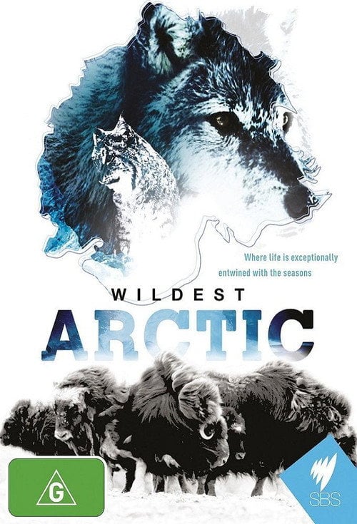 Постер Дика Арктика (2012)