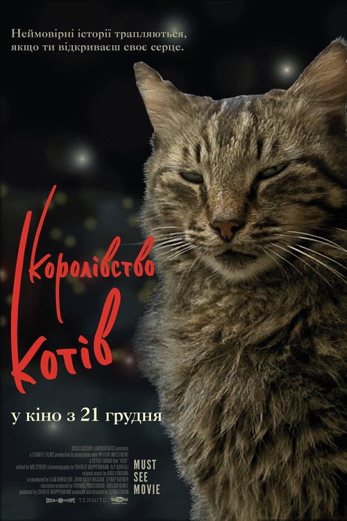 Постер Королівство котів (2017)