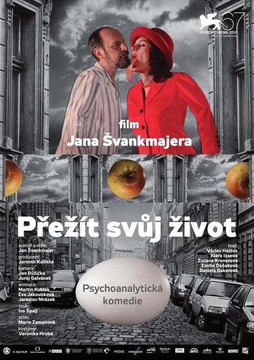 Постер Пережити своє життя (2010)