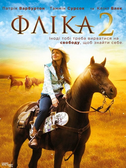 Постер Фліка 2 (2010)