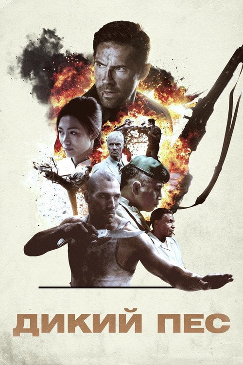 Постер Дикий пес (2017)