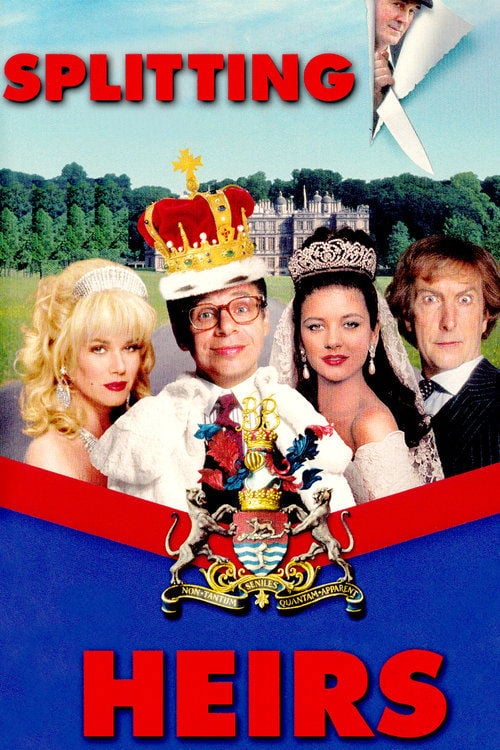 Постер Переплутані спадкоємці (1993)