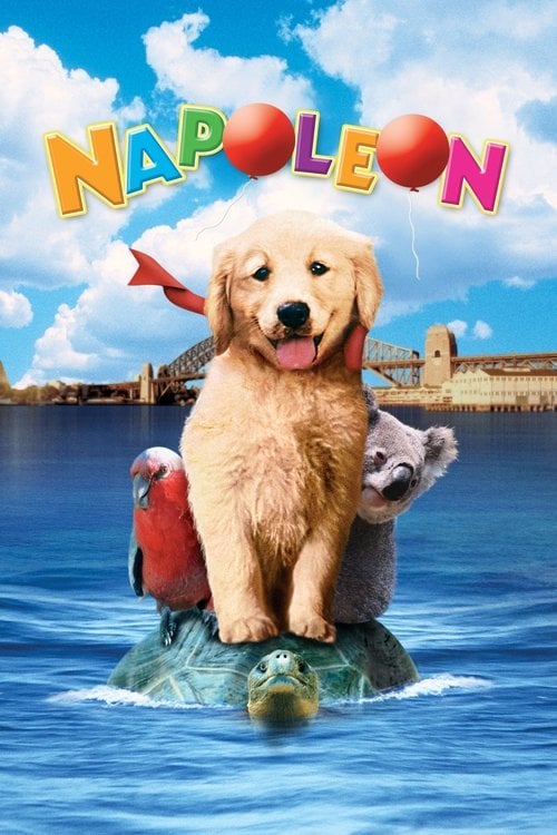 Постер Наполеон (1995)