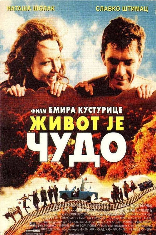 Постер Життя як диво (2004)