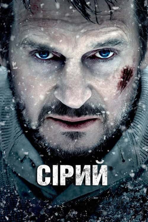 Сірий / Сутичка