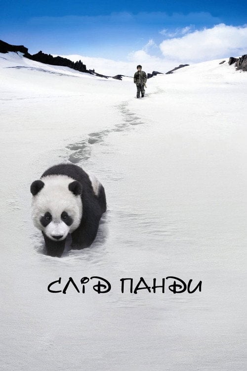 Постер Слід панди (2009)