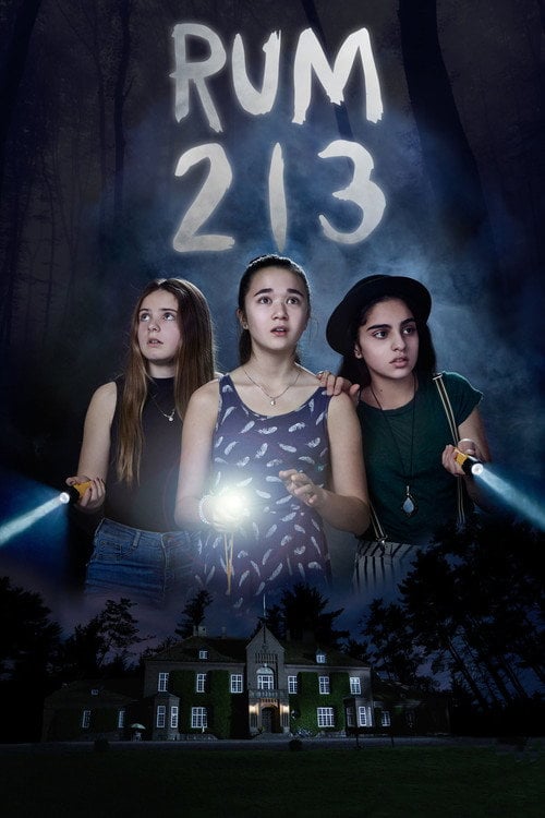 Постер Кімната 213 (2017)