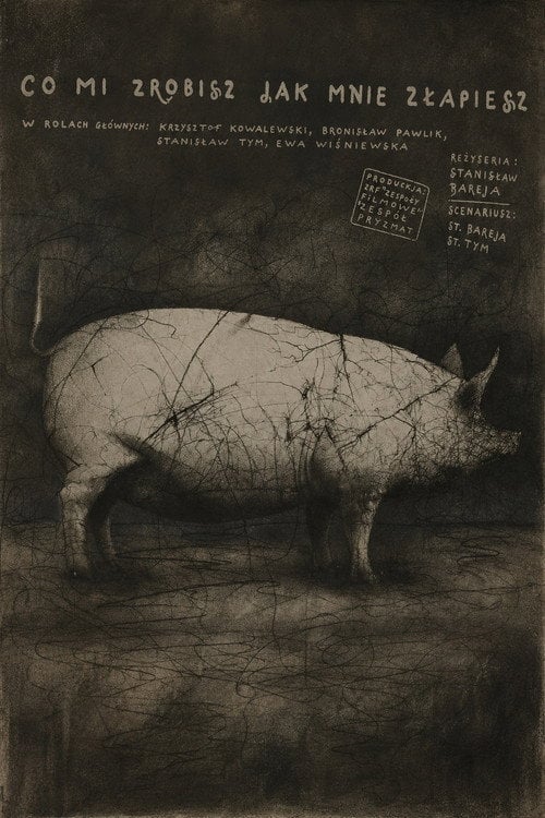 Постер Що мені зробиш, якщо спіймаєш? (1978)