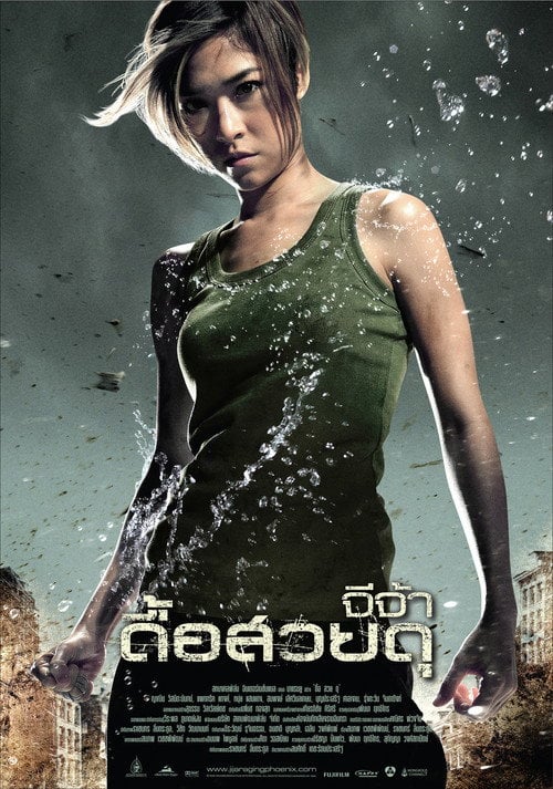 Постер Бурхливий Фенікс (2009)