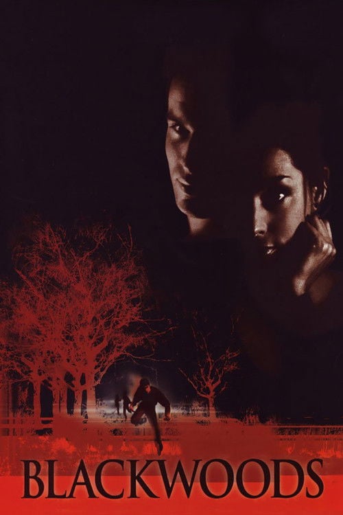 Постер Сутінки розуму (2001)