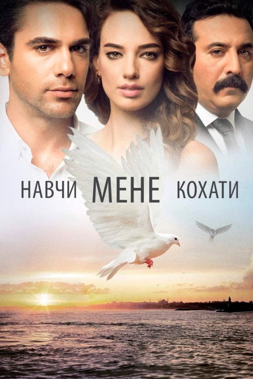Постер Навчи мене кохати (2016)