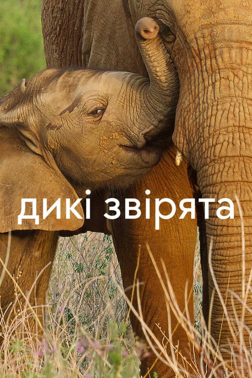 Постер Дикі звірята (2022)