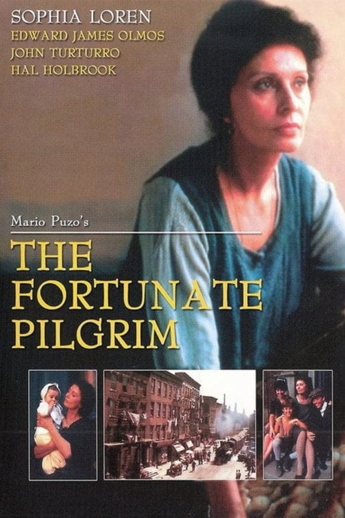Постер Щаслива мандрівниця (1988)