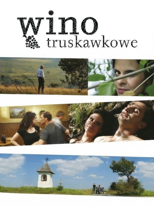 Постер Вино трускавкове (2009)