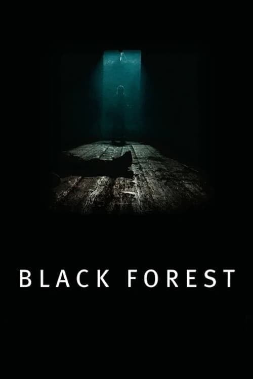 Постер Чорний ліс (2012)