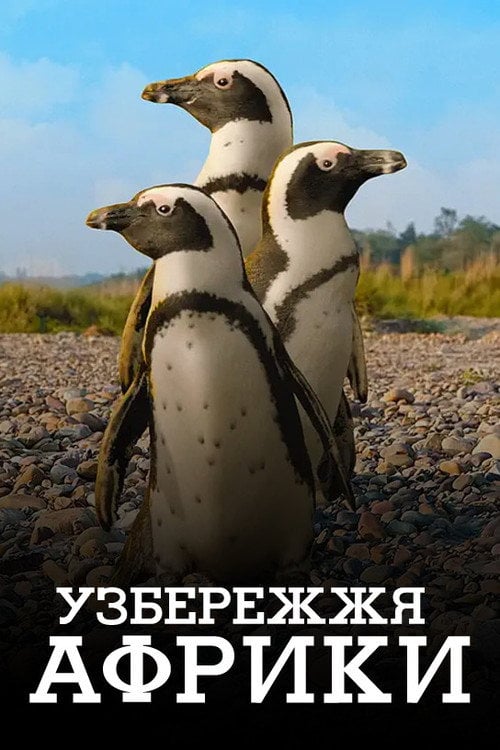 Постер Узбережжя Африки (2015)