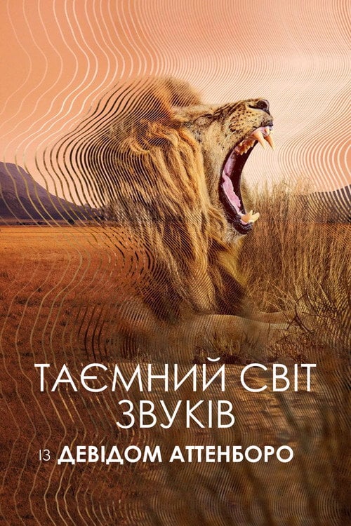 Постер Таємний світ звуків з Дейвідом Аттенборо (2024)
