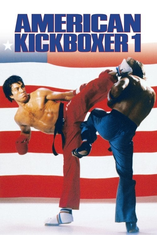 Постер Американський кікбоксер (1991)