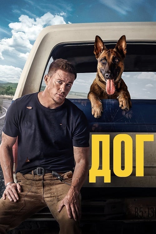 Постер Дог (2022)