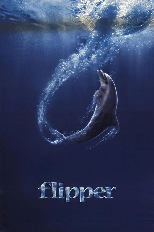 Постер Фліппер (1996)