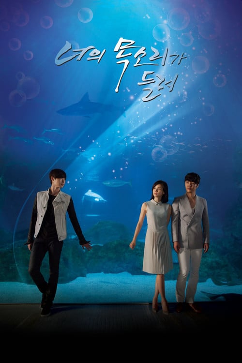 Постер Я чую твій голос (2013)