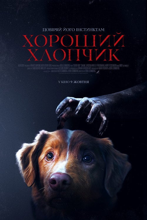 Постер Хороший хлопчик (2025)