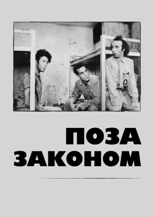 Вельми цікаво